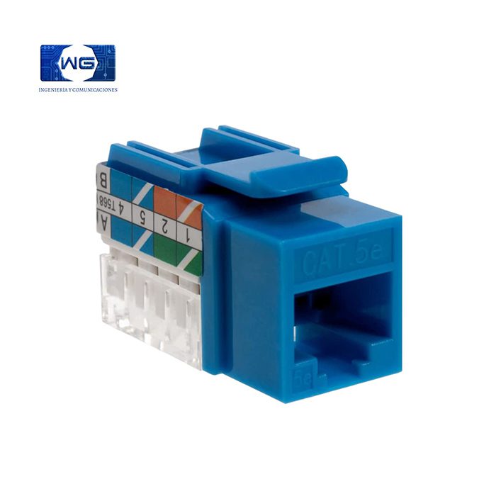 Jack RJ45 Cat 5e / Cat 6 - azul / jack-cat-5e