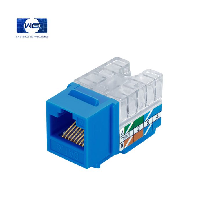 Jack RJ45 Cat 5e / Cat 6 - azul / jack-cat-6